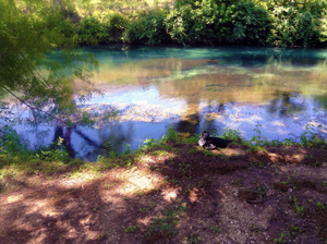 Landa RV and Campground